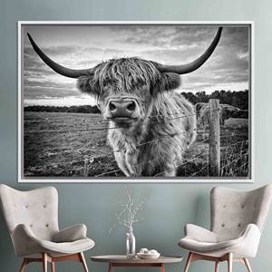 Impression sur toile de vache des Highlands : Bovins Longhorn, Décoration rustique pour ferme, TOILE ENCADRÉE BLANCHE - Product Image 1