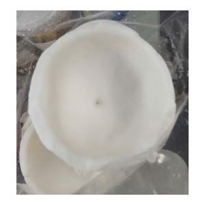 Precio al por mayor, carne de coco congelada entera, varios cortes, fruta de coco congelada en caliente para hacer cremas, jugo de Vietnam - Product Image 2