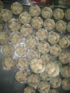 ลิ้นจี่กระป๋องในน้ำเชื่อมหวานทั้งหมดจากเวียดนาม - Product Image 4