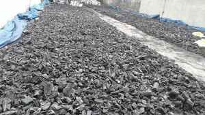 Carbón Vegetal de Madera de Manglar 100% Natural de Primera Calidad en Forma de Trozos para Barbacoa - Product Image 5