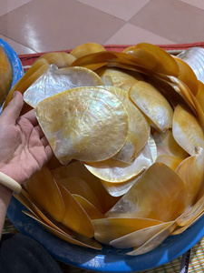 Plat en nacre à prix compétitif 2025: Top vente, vaisselle de service direct d'usine au Vietnam - Product Image 5