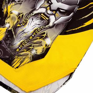 Haga sus propios pantalones cortos de MMA de boxeo de lucha de alta calidad Diseño de pantalones cortos MMA más vendidos Desgaste personalizado Arte marcial con logotipo personalizado - Product Image 4