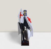 Costume d'armure médiévale complète de chevalier, armure de combat, collection de vêtements, tunique, cape, souvenir, acier nautique poli