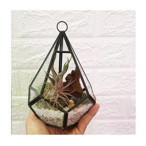 Vase de terrarium décoratif de balcon enduit noir prix bon marché vase de terrarium en métal de concepteur de haute qualité à vendre - Product Image 4