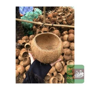 COQUILLE DE NOIX DE COCO SÉCHÉE CRUE DU VIETNAM DE HAUTE QUALITÉ POUR LA PRODUCTION ET L'EXPORTATION DE CHARBON EN VRAC MEILLEUR PRIX - Product Image 2
