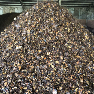 Cáscara de Nuez de Anacardo Residual de Vietnam para Calentar y Quemar ANGLE - Product Image 2