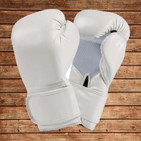 Guantes de Boxeo con Envío Gratuito, Gran Venta, Guantes de Boxeo Personalizados, Diseña Tus Propios Guantes de Boxeo de 10 oz
