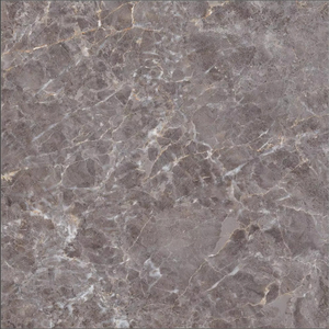 Azulejos de porcelana modernos de 600x600MM con características antibacterianas y antideslizantes de ladrillo refractario - Product Image 1