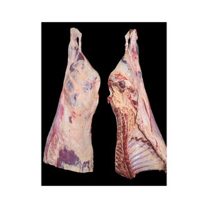 Nature Bœuf Angus nourri à l'herbe Vente en gros Coupes postérieures congelées Prix compétitif HALAL 90VL 95VL 98VL Pièces de carrosserie en vrac - Product Image 2