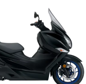 Mejor NUEVO Último 2025 Burgmannn 400 - Product Image 4