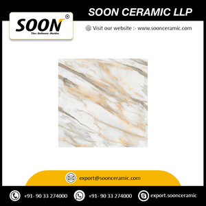 Próximamente: Baldosas de Porcelana Cerámica Mate 600x600mm, Diseño Rústico con Textura de Flores y Plantas, Antideslizantes, Antibacterianas, para Uso Exterior - Product Image 2