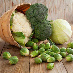 Brócoli orgánico: Calidad Premium de exportación de Vietnam - Product Image 1