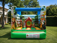 Aire de jeux gonflable professionnelle 3x3x2 m – Château gonflable en PVC – Utilisation professionnelle en extérieur/intérieur – Conforme aux normes européennes