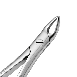 Instruments vétérinaires entretenus par OEM ODM Pinces à couper les dents Instruments vétérinaires de haute qualité Pinces à couper les dents - Product Image 4