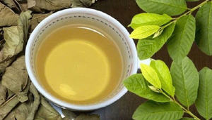 Hojas de guayaba secas de calidad superior hechas en Vietnam, que ofrecen una calidad y valor excepcionales a un precio competitivo - Product Image 3