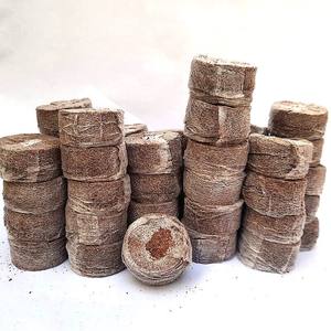 Sistema hidropónico automático de granos de turba de coco, enchufes de pellet de piel para semillas de vivero, venta al por mayor desde Vietnam - Product Image 1