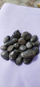 Coral Fossilizado Negro Natural de Primera Calidad, en Diversas Formas, para Joyería, Gemas Alba, Buen Precio - Product Image 4