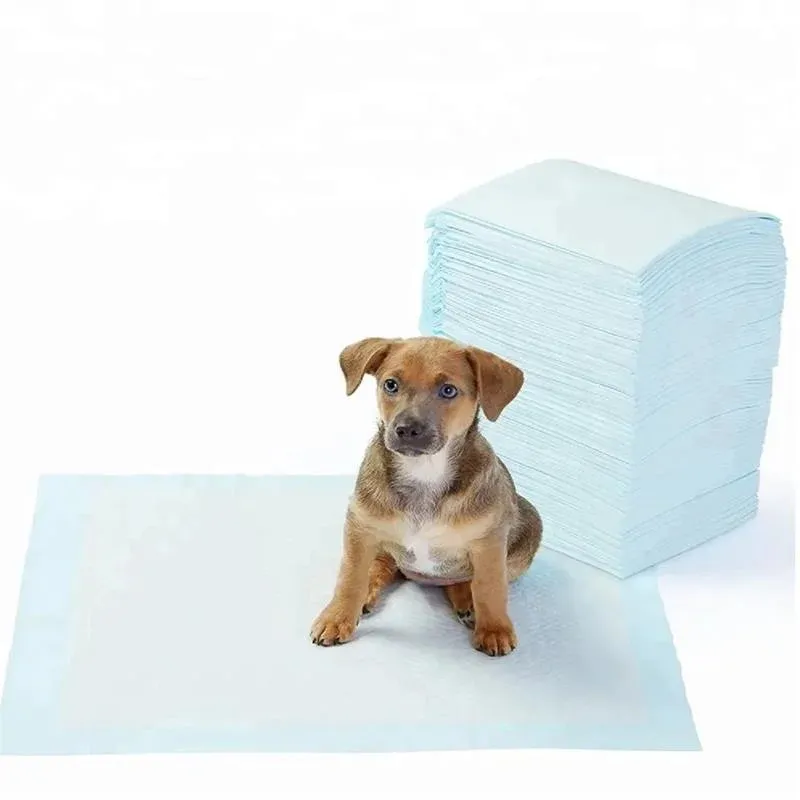 Popok anjing berubah bau kucing, alas Toilet hewan piaraan bantalan empuk 100 unit untuk kencing anak anjing ramah lingkungan