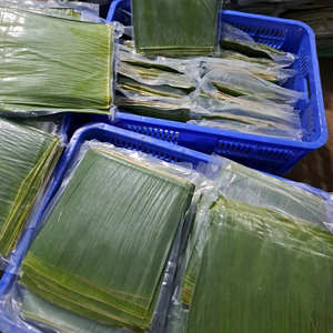 Feuilles de bananier naturelles pour les repas traditionnels au riz et les services de restauration de style bento au Vietnam |   Vente en gros B2B Export - Product Image 1