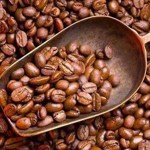 Fresh premium product Food grade organic Coffee Beans