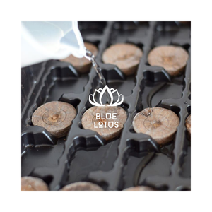 BOULETTES DE TOURBE DE COCO POUR LA GERMINATION DES SEMENCES AGRICOLES SYSTÈME HYDROPONIQUE ET HORTICULTURE GROS EXPORT VIETNAM - Product Image 1