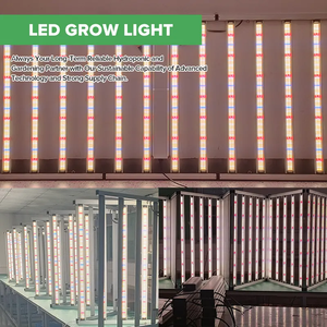 2024 BAVA 4X8FT Samsung LM301H EVO LM301B LED élèvent la lampe 12 barres 1200W Dimmable élèvent la lumière pour la salle d'usine <span class=keywords><strong>de</strong></span> boîte <span class=keywords><strong>de</strong></span> <span class=keywords><strong>culture</strong></span> - Product Image 2