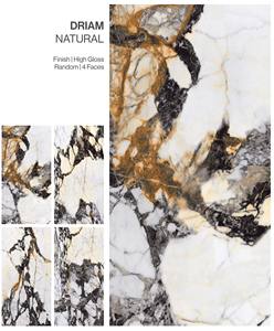 CARREAUX EN PORCELAINE À SURFACE HAUTE BRILLANCE DRIAM NATURAL 600X1200 - Product Image 2