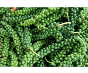 Pimiento Verde, Especia Hecha de Granos de Pimienta Frescos, 100% Natural, Hecho en Vietnam - Product Image 3