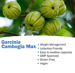 Hot Sale Garcinia Cambogia Forte Extract Vetverbrander Versneller Garcinia Cambogia Capsules Voor Ondersteunt Lichaamsbeheer - Product Image 2