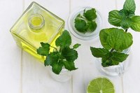 Huile Essentielle de Bergamote et Menthe 100% Pure, Arôme Frais Naturel, Qualité Cosmétique, Vente en Gros