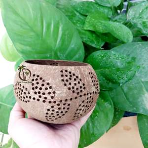 LÁMPARA DE CÁSCARA DE COCO DE DISEÑO ÚNICO DECORACIÓN DEL HOGAR FAROL DE CÁSCARA DE COCO ECOLÓGICO/LUCES DE CÁSCARA DE COCO VIETNAM - Product Image 1