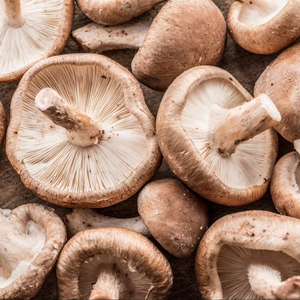 Hongo Shiitake seco Calidad Premium de Vietnam buen paquete - Product Image 1