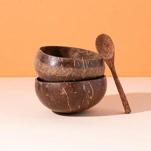 Petite cuillère à thé en bois de noix de coco naturelle et écologique petites cuillères à café en bois de coco à prix compétitif - Product Image 4