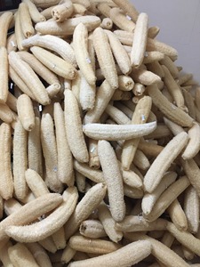Éponge de loofah naturelle de haute qualité, cultivée biologiquement, 25-30 cm, pour le bain et la cuisine, export en vrac depuis les fermes du Vietnam, bon prix - Product Image 4