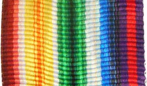 JOYA REGALIA MASÓNICA MASONIC ROYAL ARK MARINER MIEMBROS JOYA DE Pecho CON CINTA MULTICOLOR Y JOYA CHAPADO EN PLATA - Product Image 2