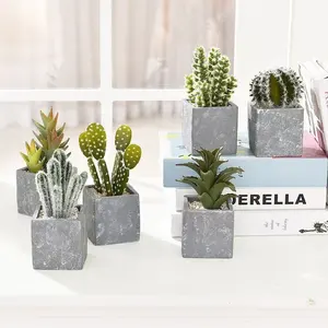 Artificial Succulent Cactus High-end Plant Desktop Desert Velvet Potted Plant Wholesale Photography Props Artificial Cactus DS44