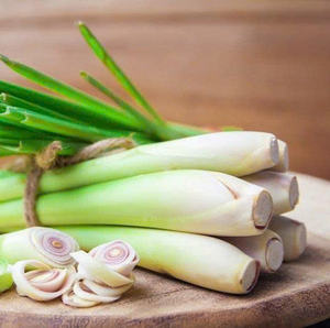 CITRONELLE CONGELÉE VENTE EN GROS APPROVISIONNEMENT EN VRAC VENTES SUPÉRIEURES QUALITÉ SUPÉRIEURE PRODUIT D'EXPORTATION D'HERBES AROMATIQUES NATURELLES - Product Image 6