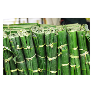 Fraîches et naturelles, les feuilles de bananier congelées du Vietnam sont 100% biodégradables et respectueuses de l'environnement - Product Image 6