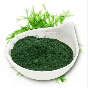 Espirulina fresca en bolsa de 250 gramos Espirulina fresca pura Spirulina buen precio en gran cantidad - Product Image 1