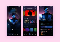 Exportadores indios Proveedores al por mayor Diseño personalizado Guru Box Aplicación de música en stock disponible para la venta