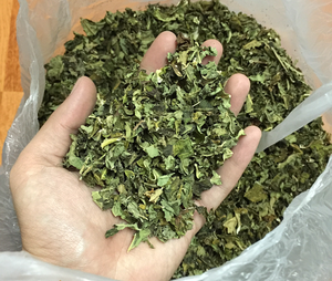 Hoja de papaya de Vietnam seca naturalmente, limpia y lista para exportar - Product Image 2