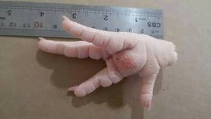 โรงงานผู้ผลิตและจำหน่ายส่งออกเท้าไก่แช่แข็งแบบขายส่งโดยตรง - Product Image 3