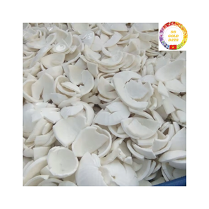 เนื้อมะพร้าวแช่แข็งจากเวียดนามได้รับการเก็บเกี่ยวและแช่แข็งอย่างรอบคอบสำหรับอุตสาหกรรมอาหารระดับโลกและการส่งออกค้าปลีก - Product Image 4