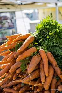Orange et carotte surgelées du Vietnam de haute qualité, biologiques, riches en vitamines, pour jus, soupes et l'industrie alimentaire - Product Image 4