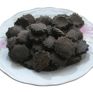 GRAINES DE GAC SÉCHÉES DE QUALITÉ SUPÉRIEURE/NATURELLES ET NUTRITIVES/FABRIQUÉES AU VIETNAM - Product Image 5