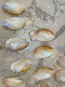 Assiettes en nacre bon marché, vente en gros, approvisionnement en vrac, surface polie et brillante, matériau durable pour la décoration, incrustation de bijoux - Product Image 5