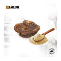LiGNO SH02 Phellinus Linteus Soğuk Kurutulmuş Mantar Tozu Tam Spektrumlu Güzellik Fonksiyonel İçecek İçeriği Organik Sağlıklı Gıda