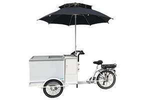 Tricycle frigorifique mexicain à 3 roues pour l'extérieur avec énergie solaire, marque personnalisable, conduite électrique, carrosserie ouverte pour le fret - Product Image 4