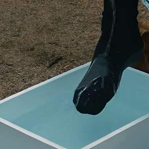 Ramadan Wudhu produit de prière islamique Wudu chaussettes conformes à la charia extensible étanche islamique en gros TAKVA Wudhu chaussettes - Product Image 2