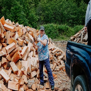 Best Good quality price Dried Split Firewood / birch firewood